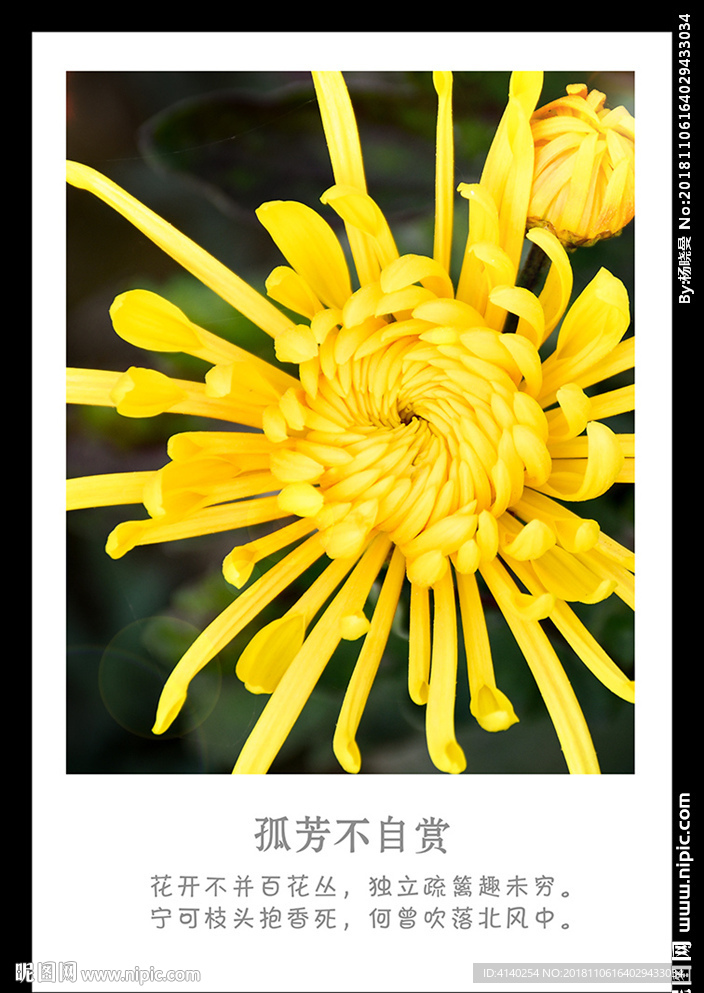 装饰画