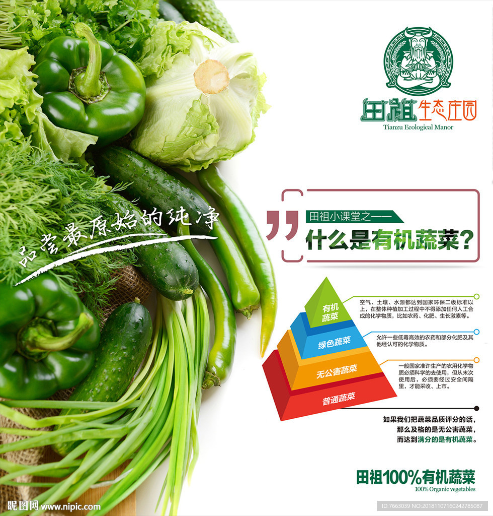 有机蔬菜知识宣传图片