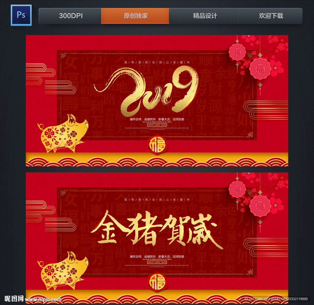 2019 猪年