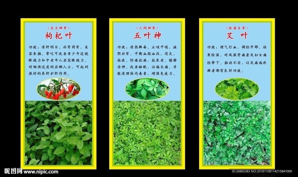 艾叶汤枸杞汤五叶神汤梅县特产