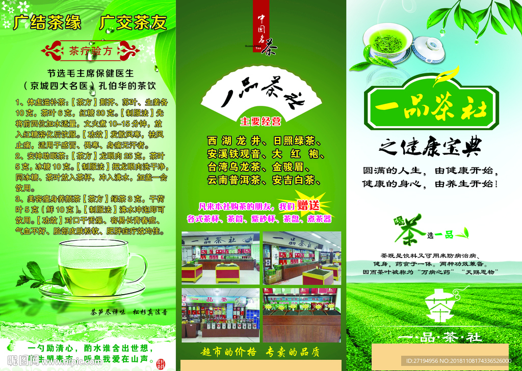 茶 茶叶 绿色 折页