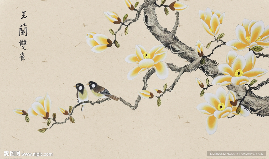 手绘花鸟玉兰花背景墙