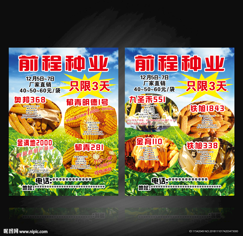 玉米种海报