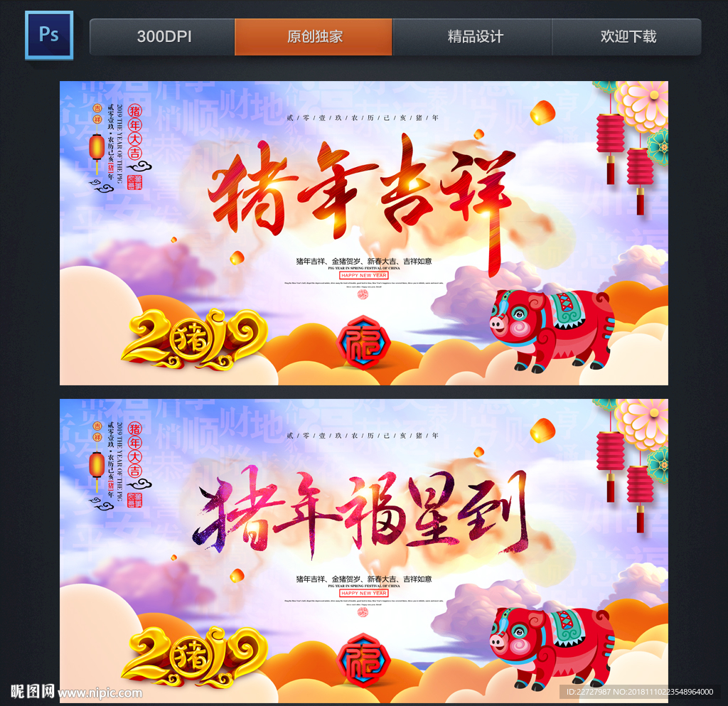 2019猪年
