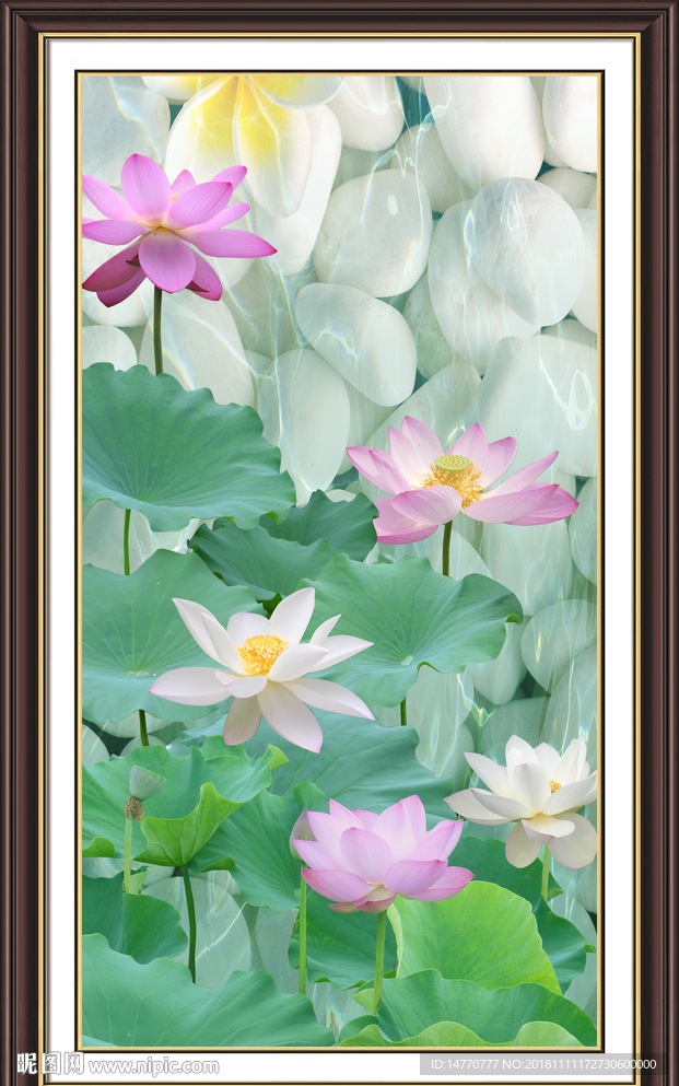 国画荷花