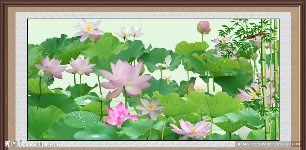 国画荷花