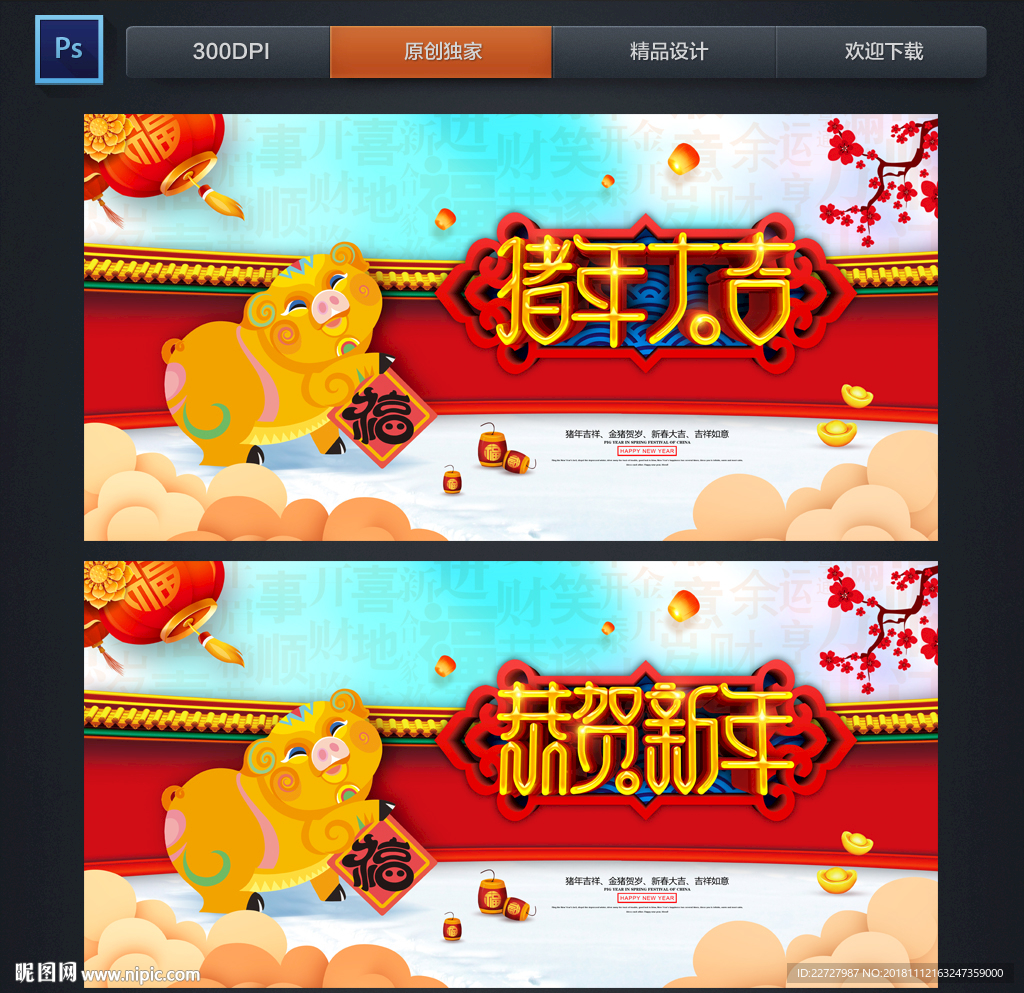 2019 猪年