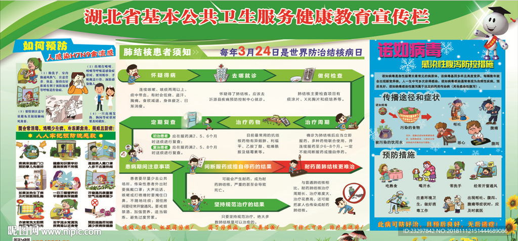 公共卫生服务 健康教育服务