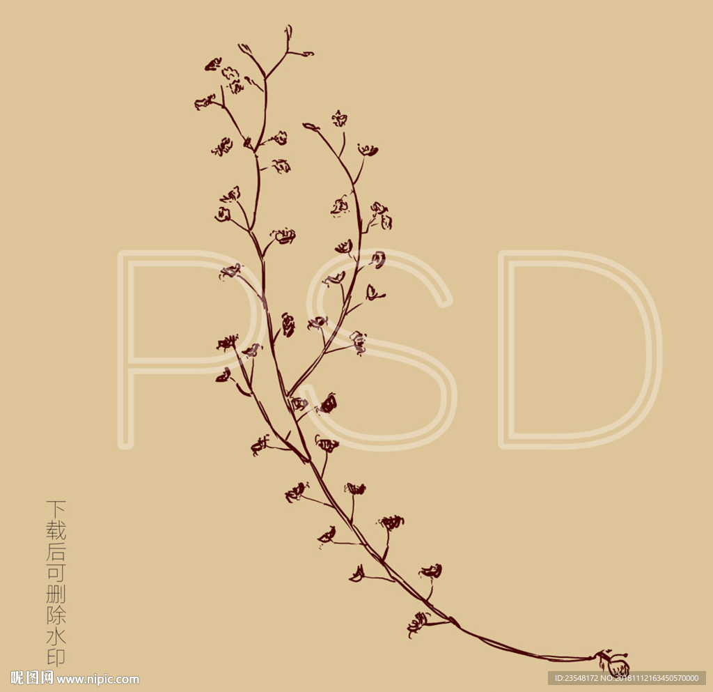 茅膏菜