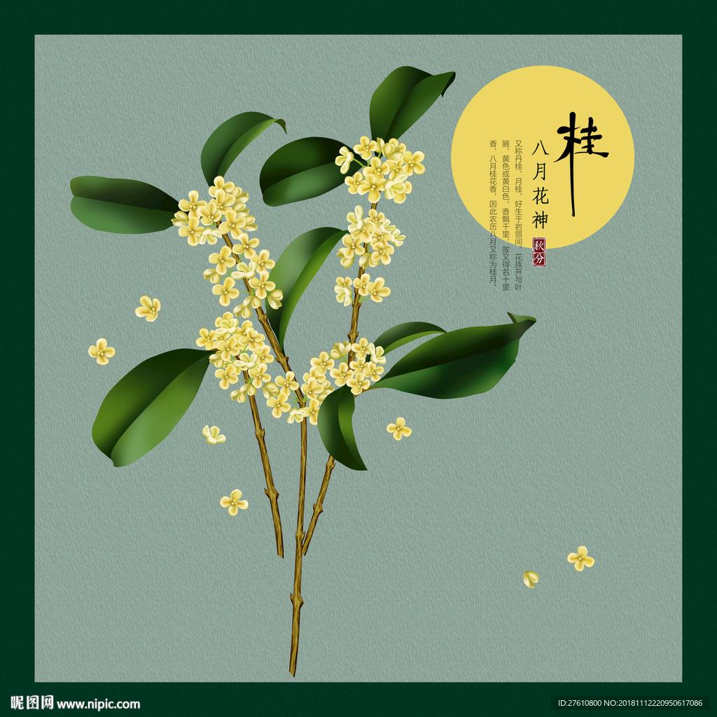 桂花