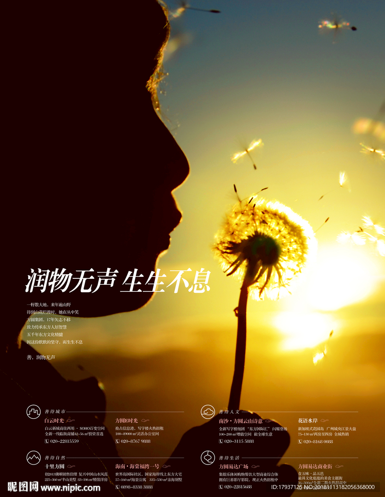 蒲公英 风 登山 风筝 蝴蝶