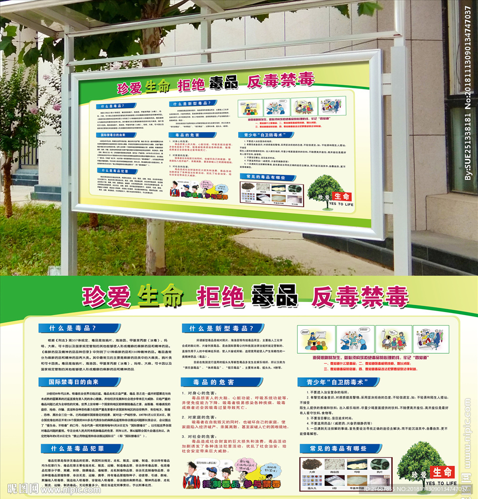 禁毒宣传栏