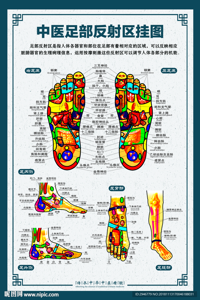 足部反射全息图图片