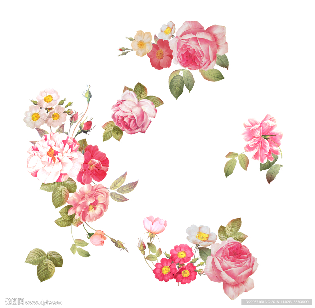 手绘玫瑰花