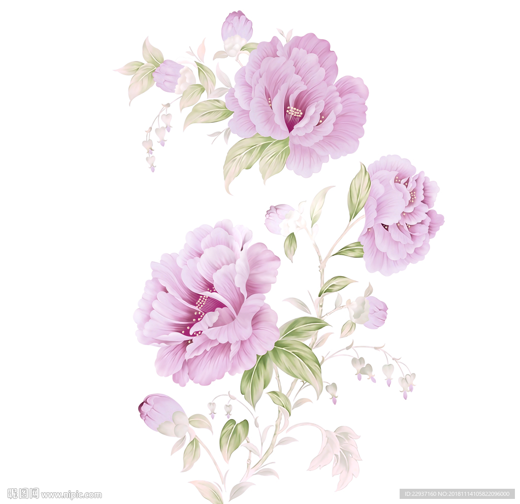 手绘花