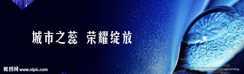荣耀绽放