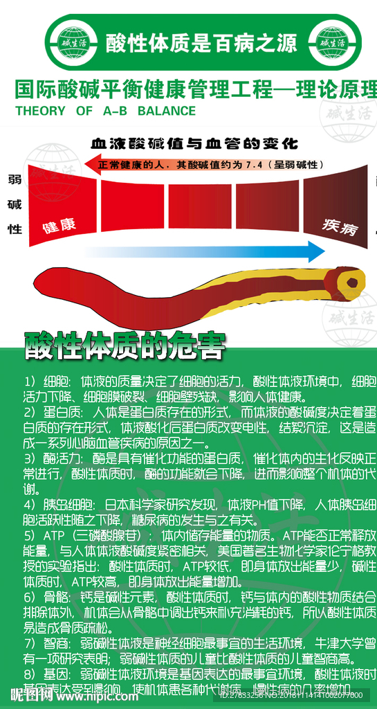 酸碱平衡 养生海报图片
