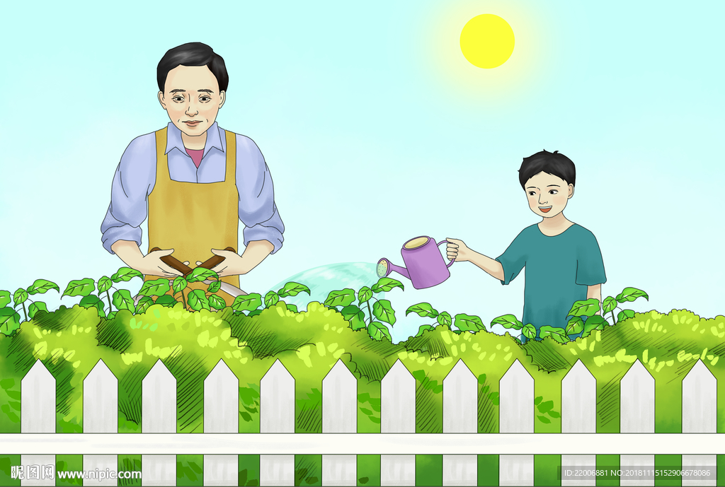 植物插画