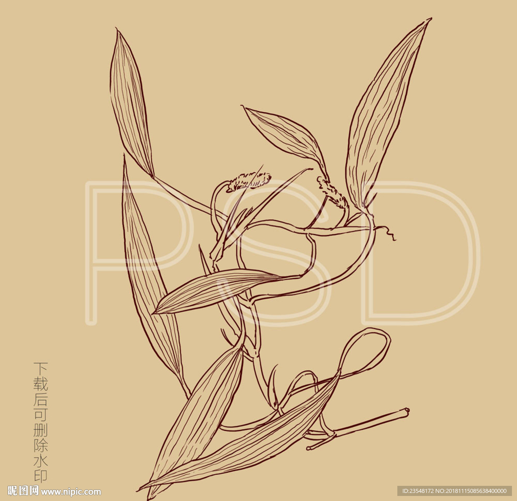 眼子菜