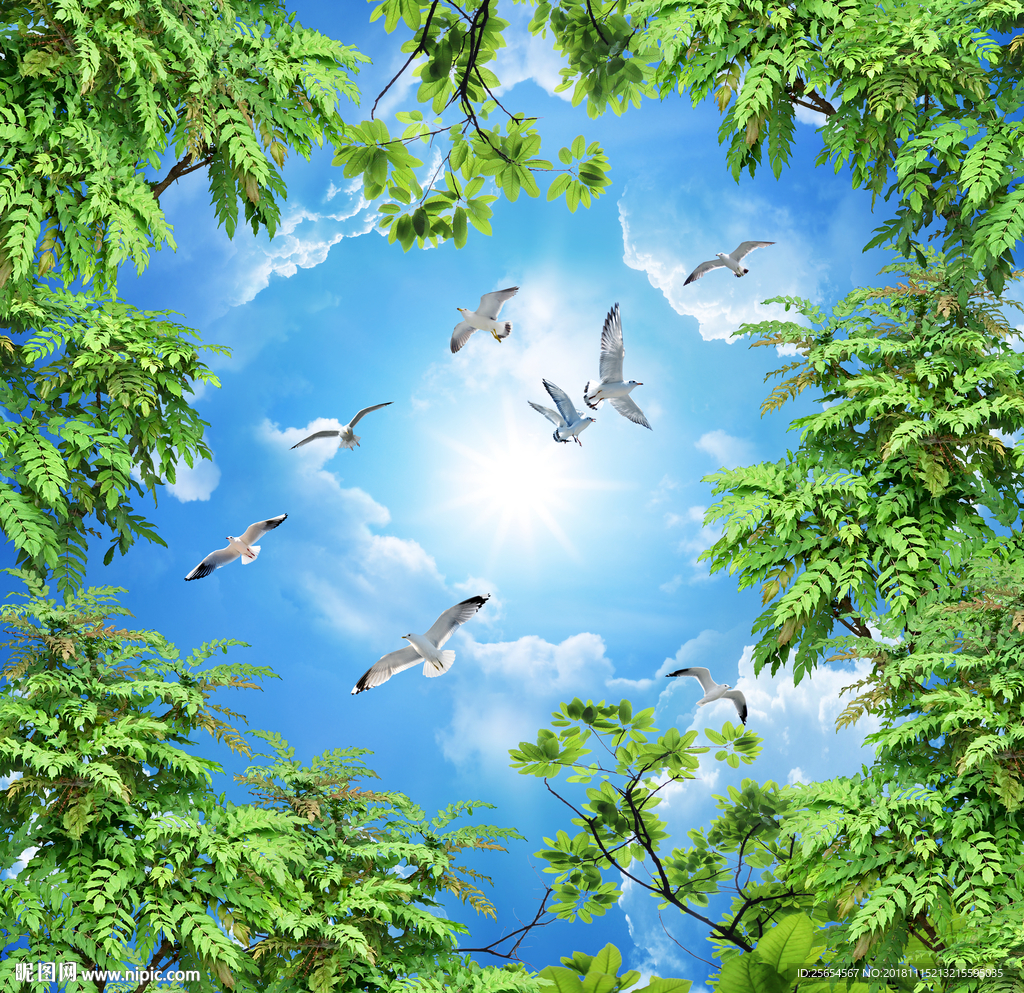 树枝蓝天白云客厅卧室吊顶天顶