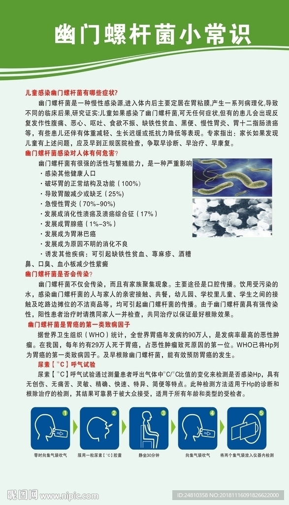 幽门螺杆菌小常识