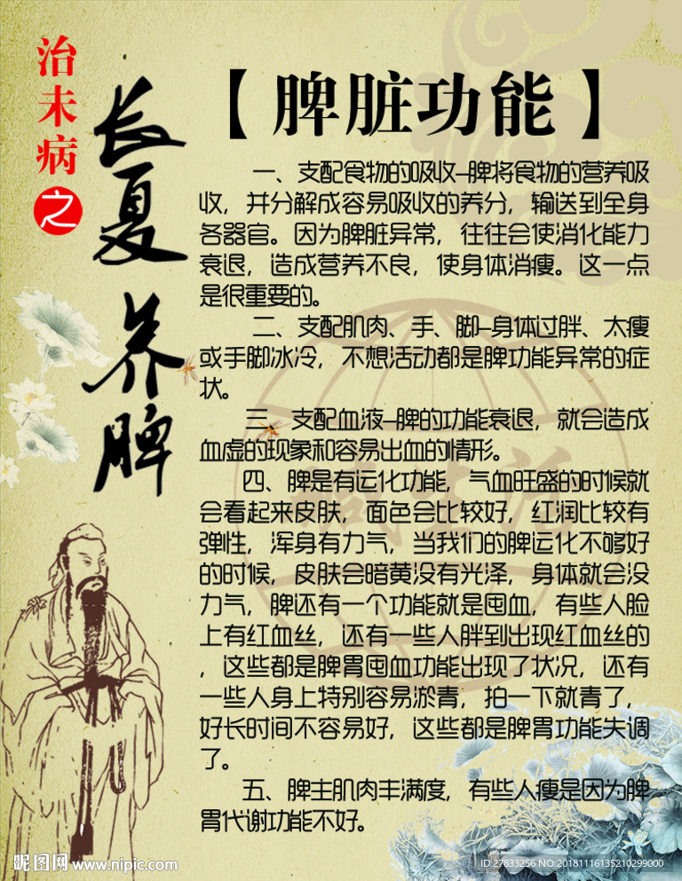 脾脏功能 养生 图片