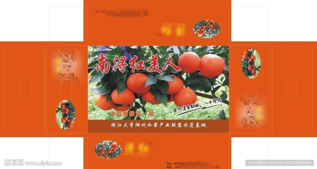 红美人橙子箱子