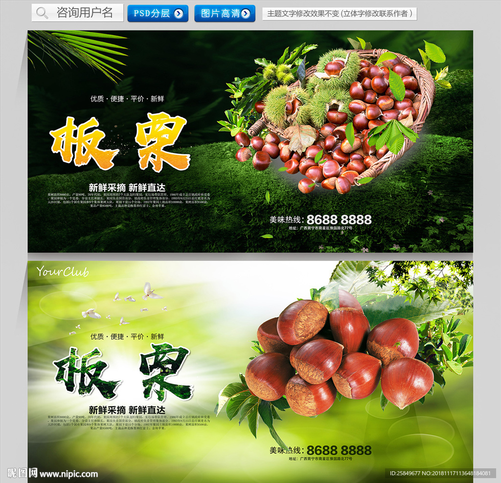 板栗
