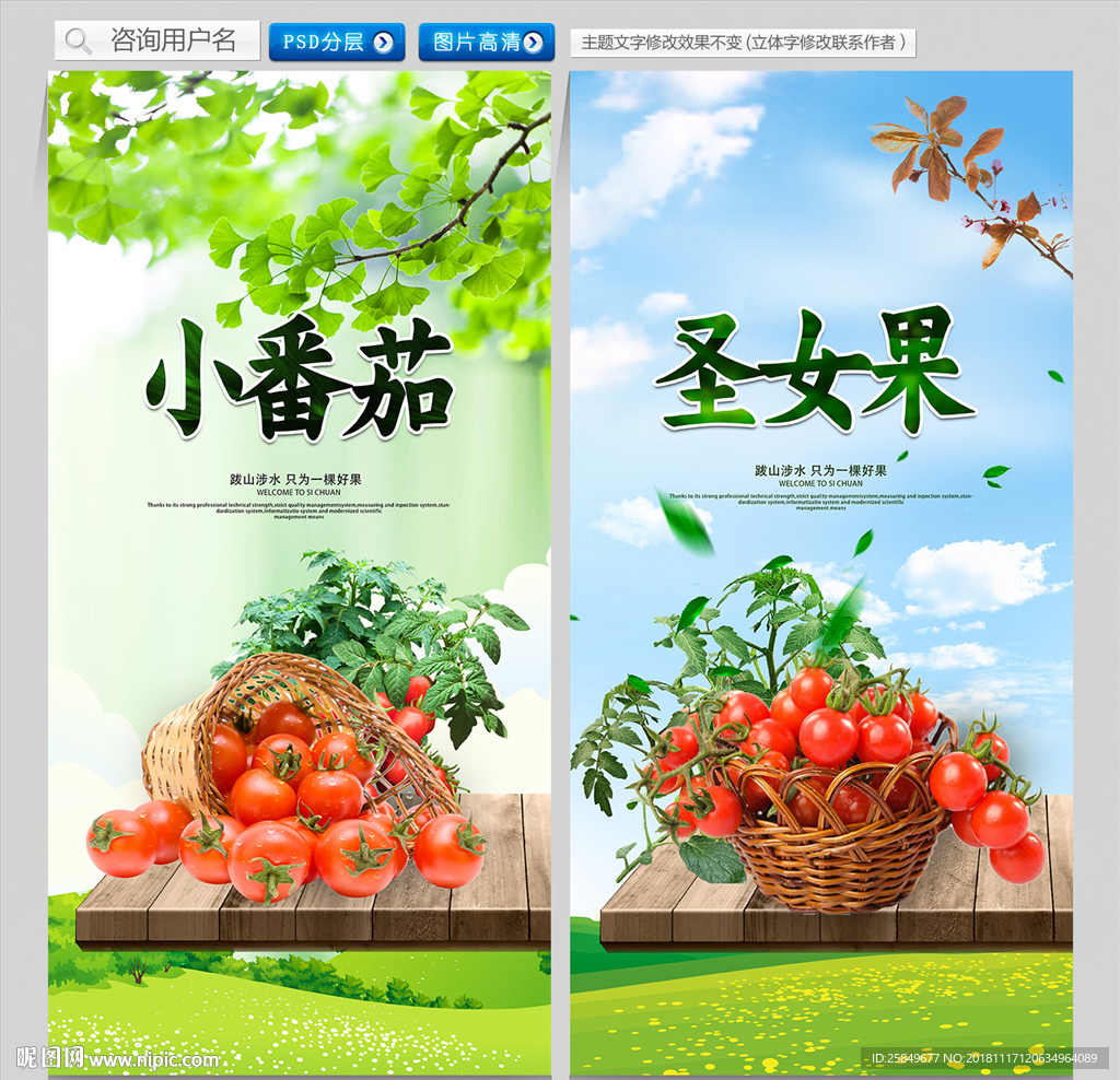 小番茄