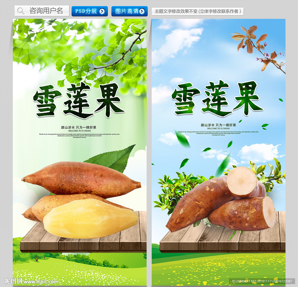 雪莲果