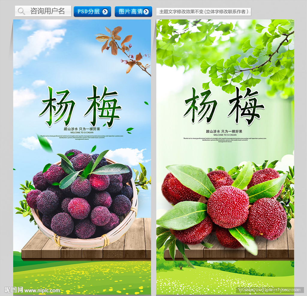 杨梅