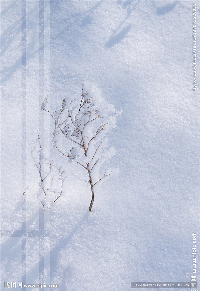 清新意境雪景装饰画