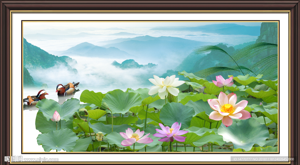 国画荷花
