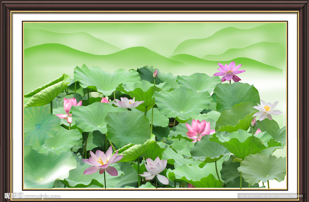 中国画荷花