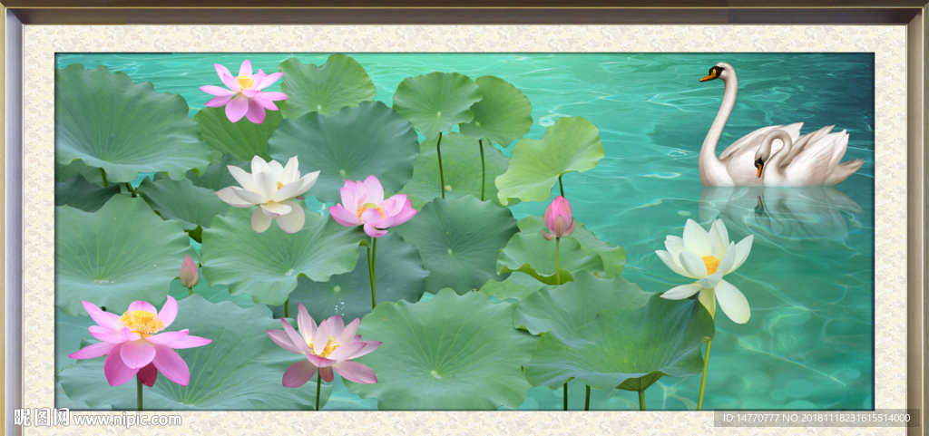 国画荷花