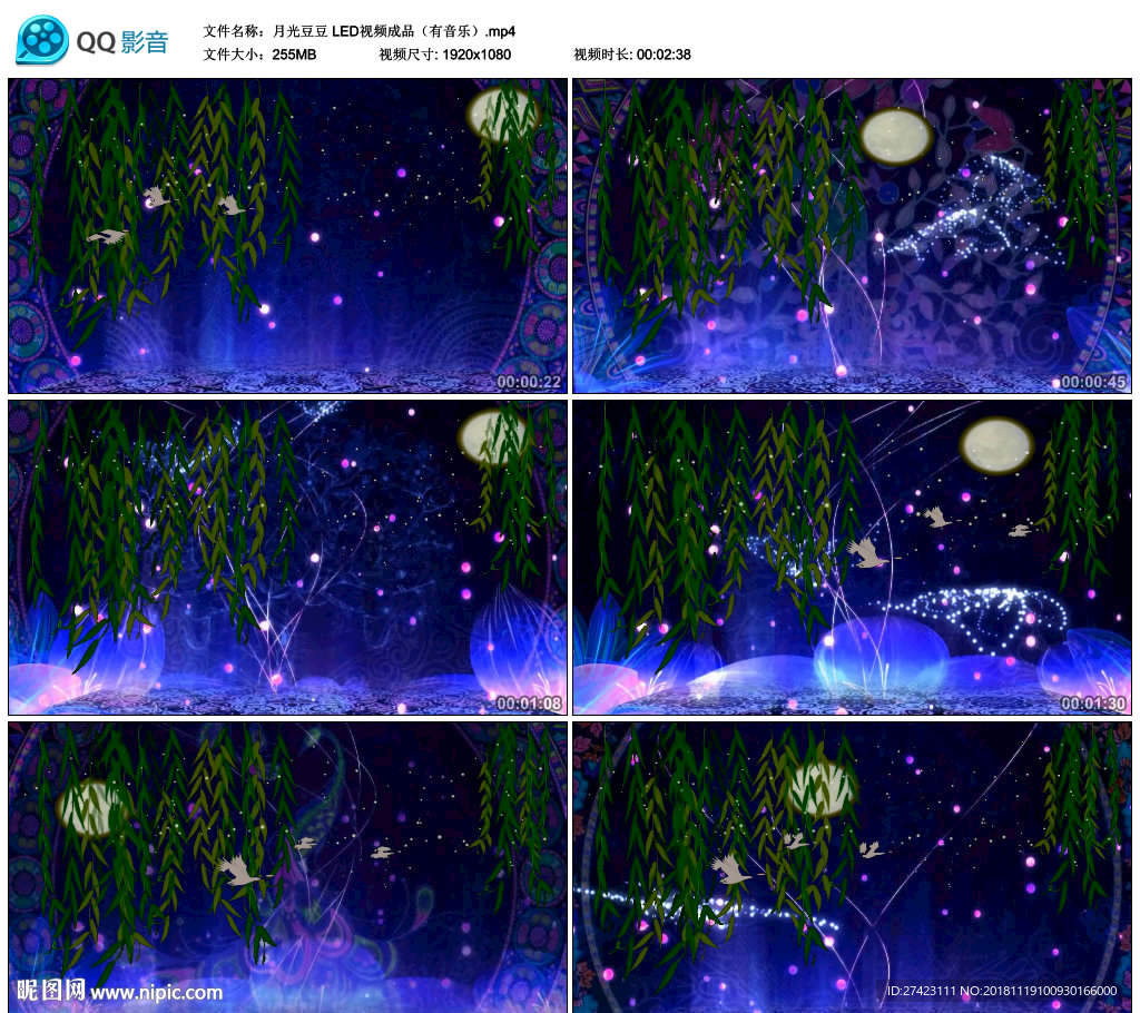 月光豆豆 歌曲MV舞台背景视频
