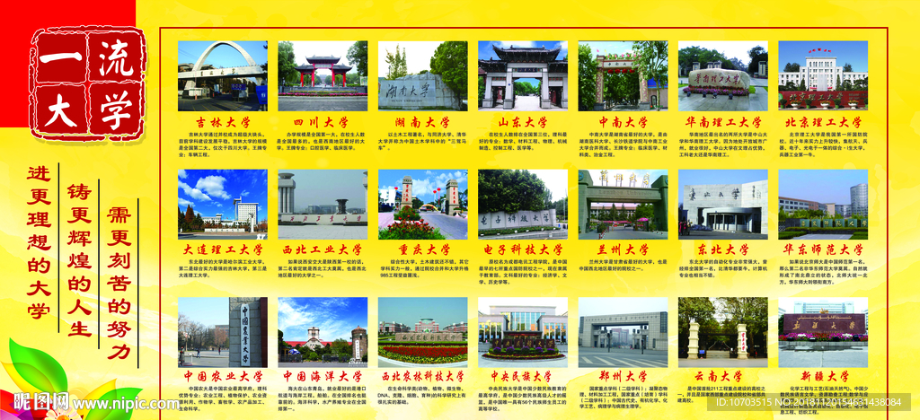 一流大学