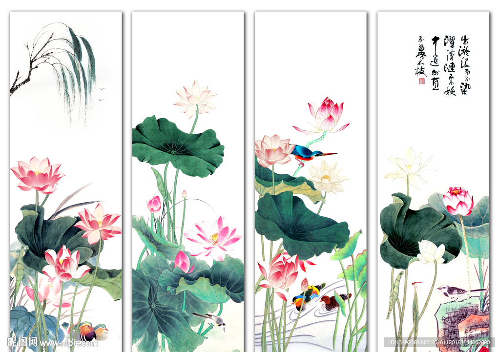 荷花