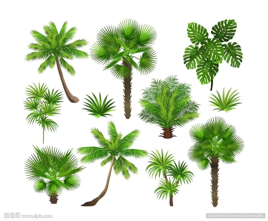 矢量绿植设计