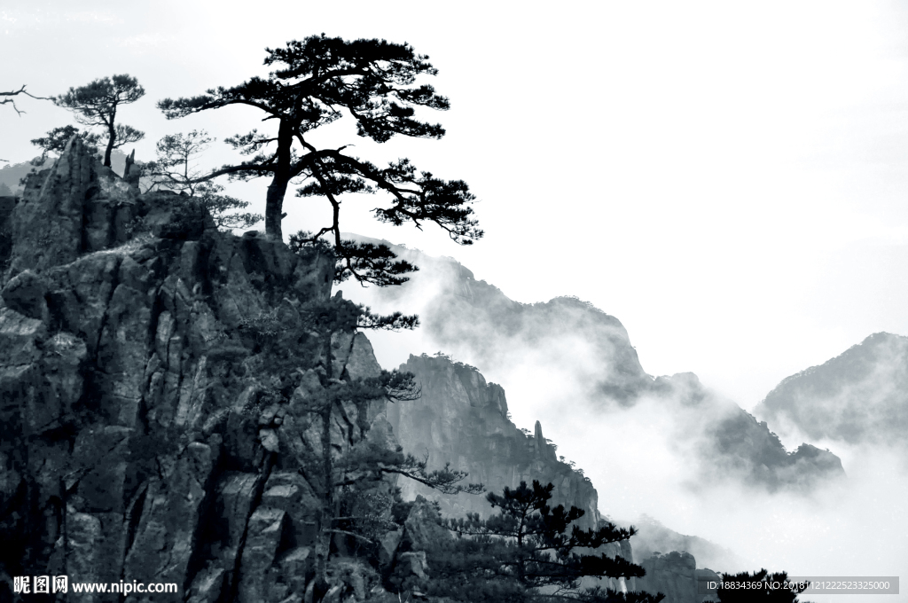 禅意 新中式山水 迎客松