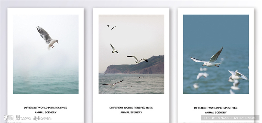 动物海鸥风景装饰画