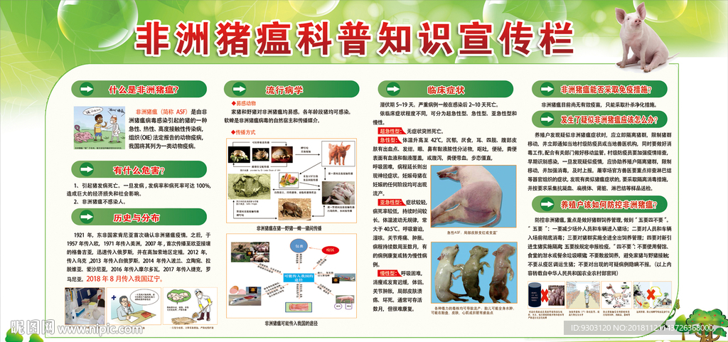 非洲猪瘟宣传栏
