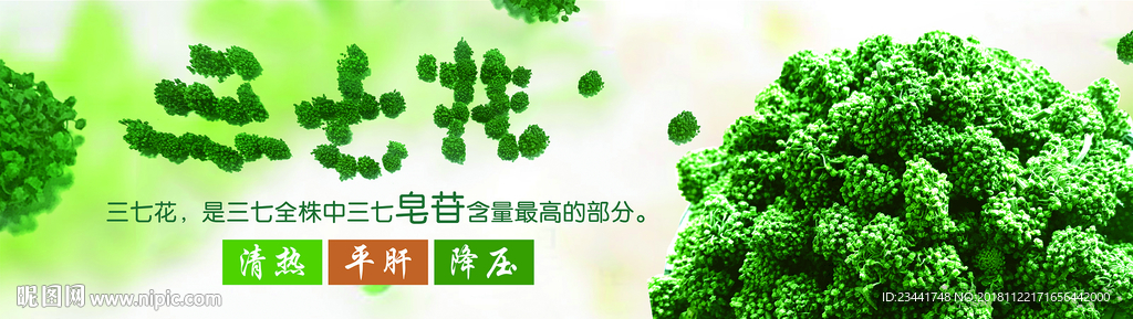 三七花