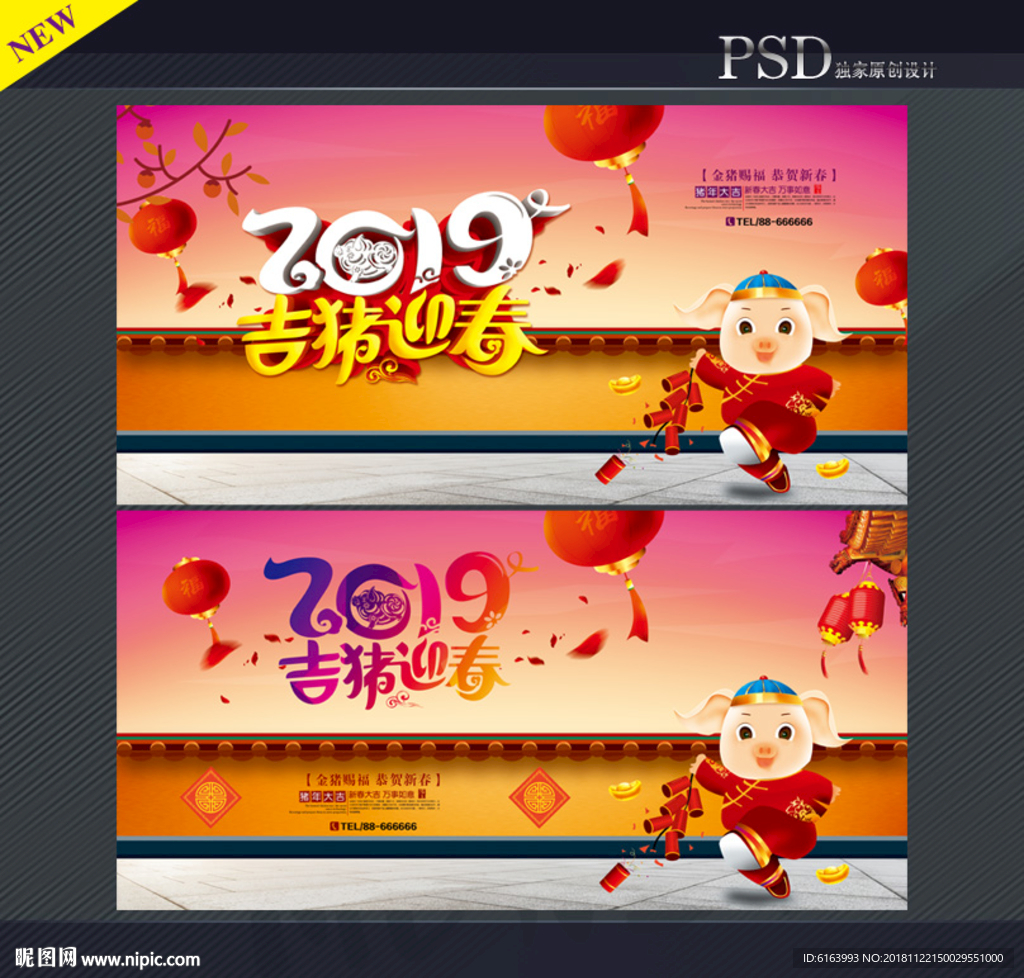 2019猪年
