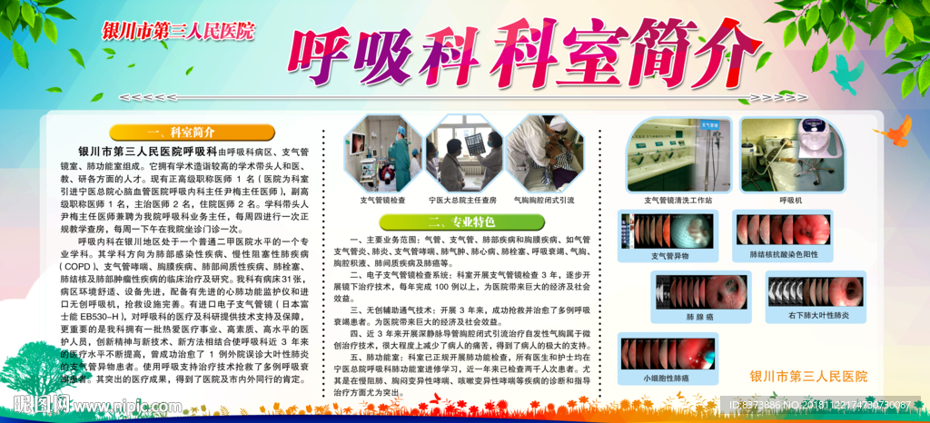 呼吸科简介
