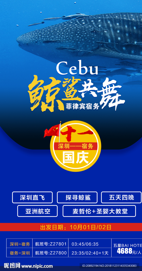 鲸鲨共舞