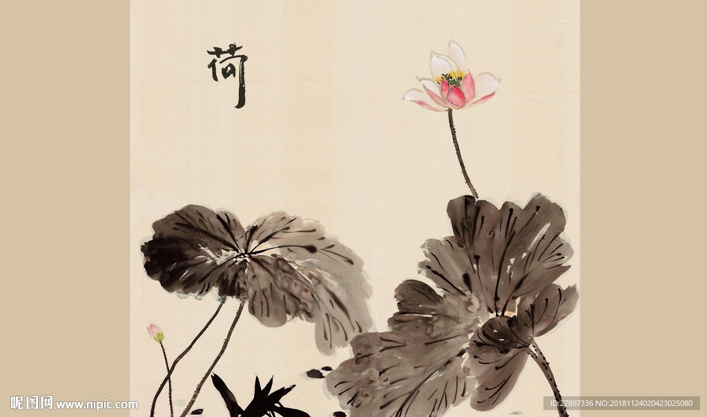 荷花