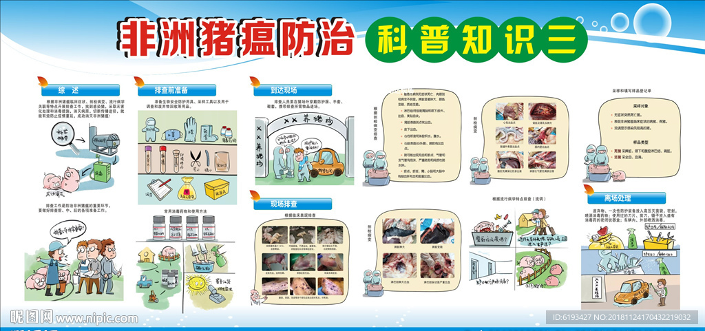 非洲猪瘟 防治知识 宣传栏图片