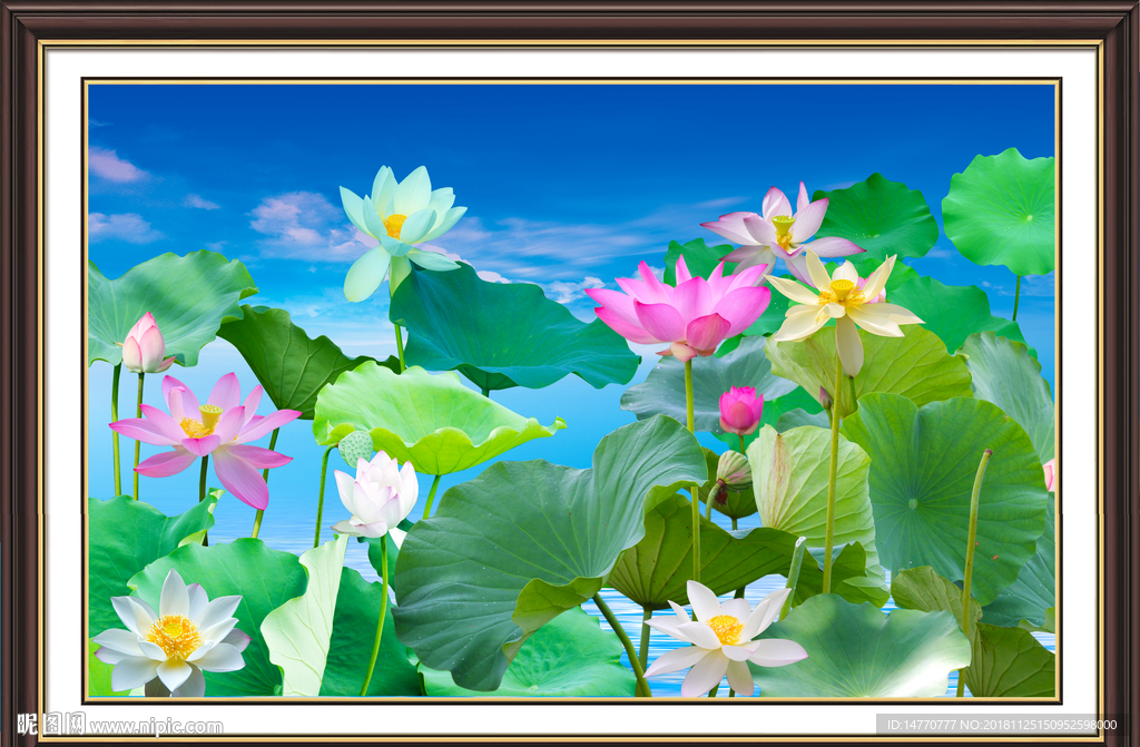 荷花图 荷花国画