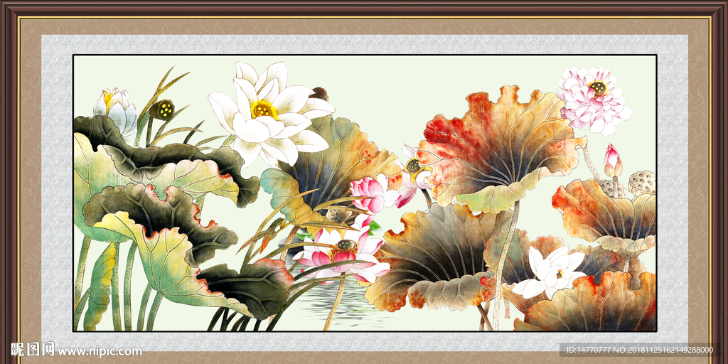荷花国画